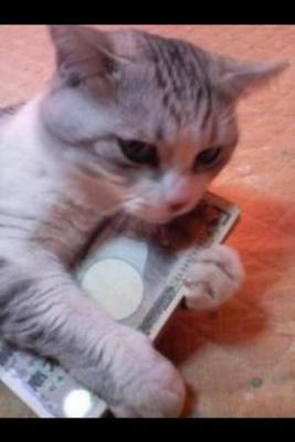 とにかく金が欲しい