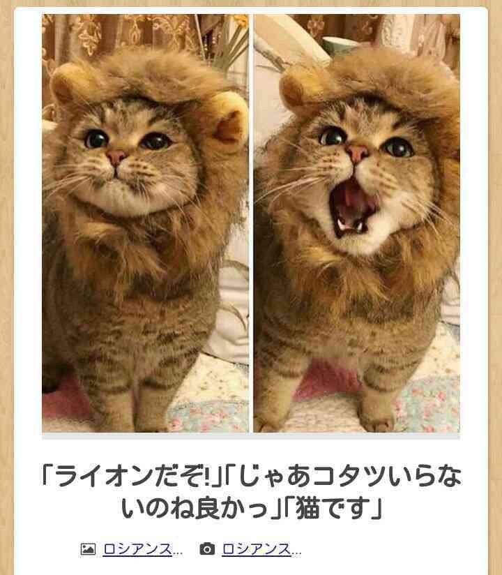好きならプラス嫌いならマイナスどちらでもないならスルー