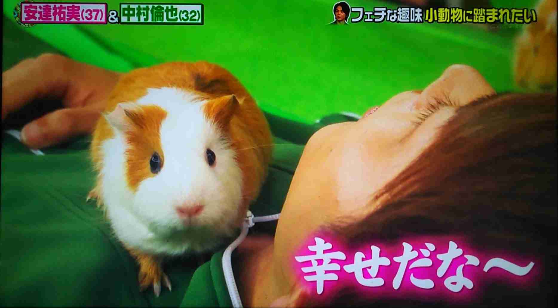 色々な中村倫也が見たい
