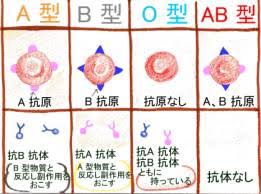 自分の誕生日と血液型を書いて同じだったらプラスをつけるトピ