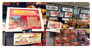 「実家近くのイオン」に集う若者の本音　もはや生活に欠かせないインフラに