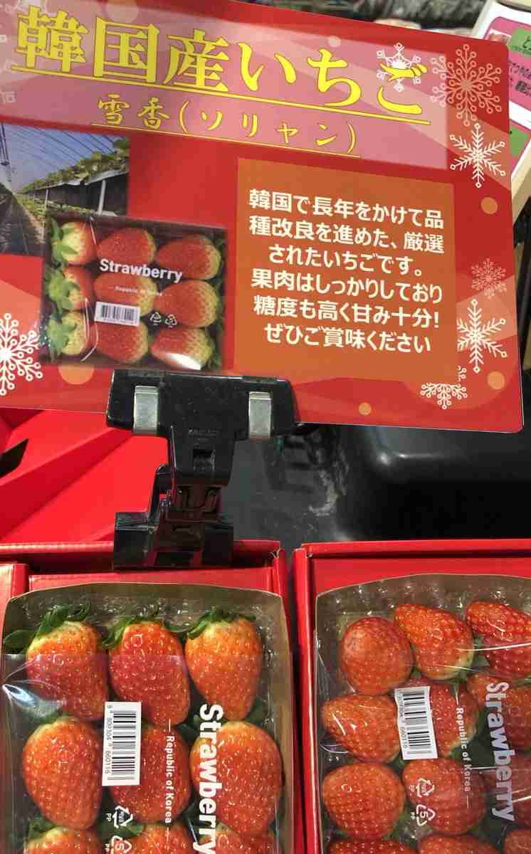 「実家近くのイオン」に集う若者の本音　もはや生活に欠かせないインフラに