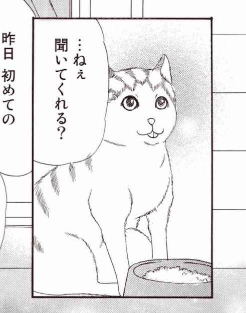 ネコ科の画像貼って癒されましょう！