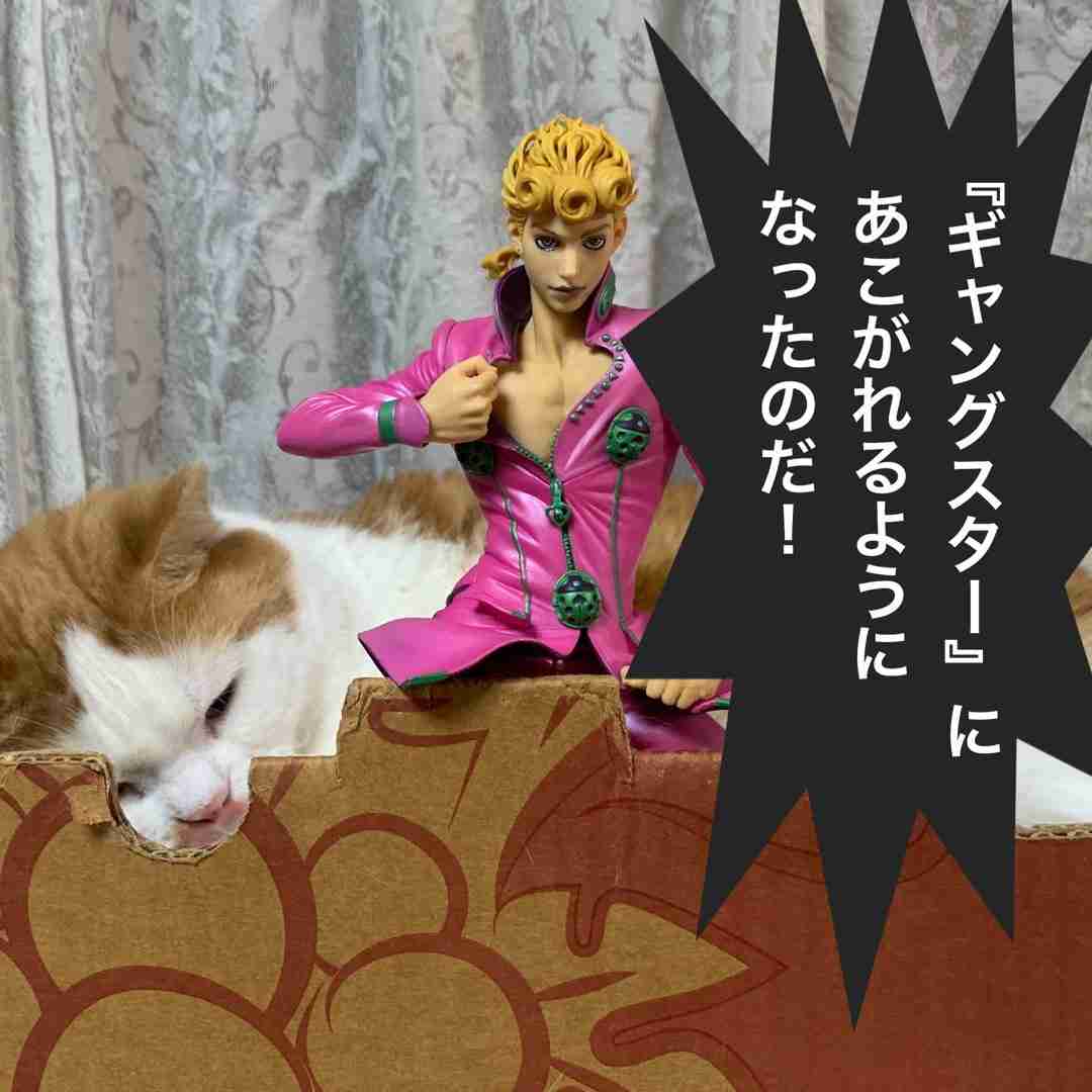 ネコ科の画像貼って癒されましょう！