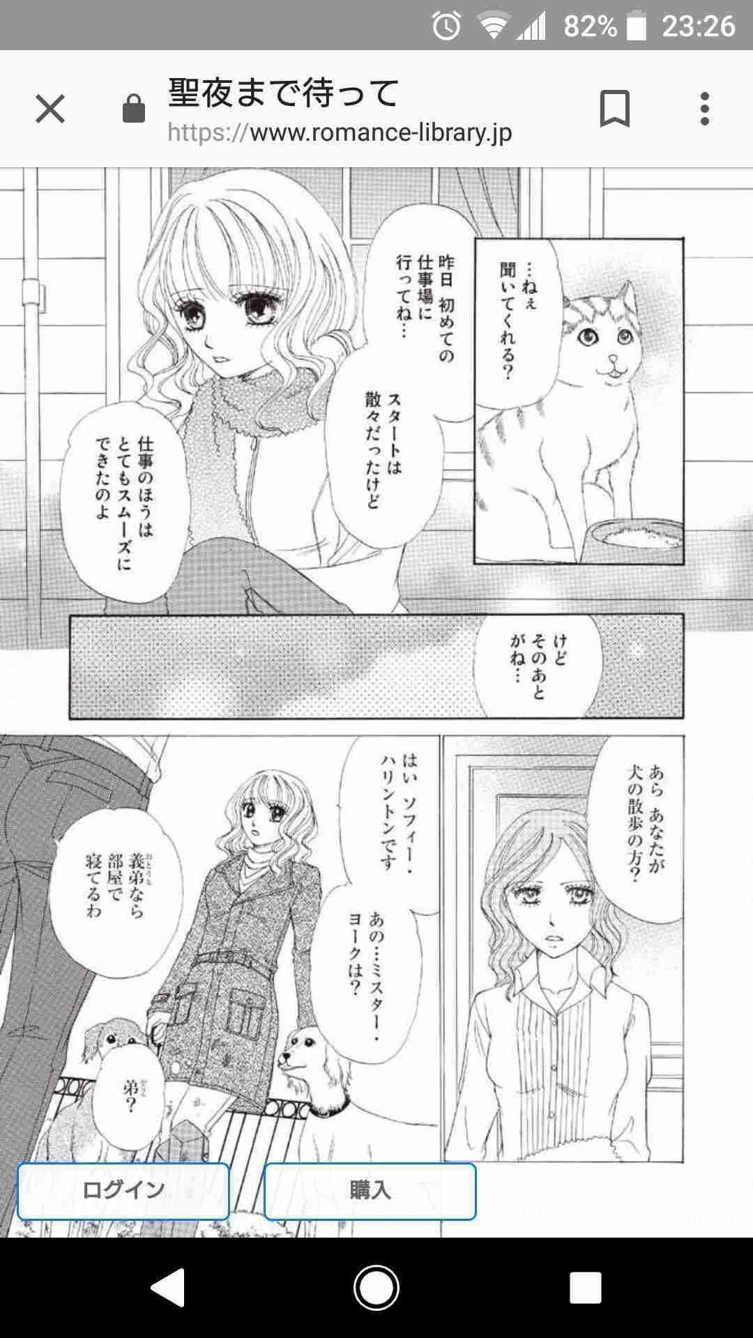 ネコ科の画像貼って癒されましょう！