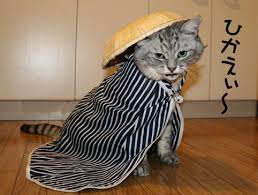 ネコ科の画像貼って癒されましょう！