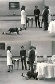 小室圭さん、金銭問題「解決済み」　説明文公表へ、秋篠宮さまが要求