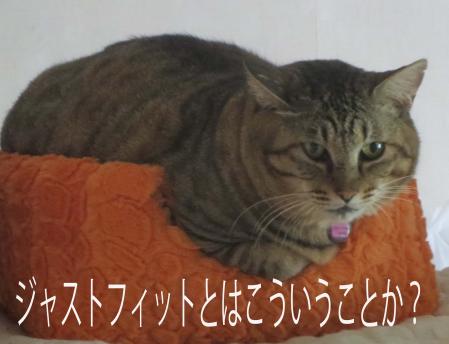 デブにきついひとこと。part3