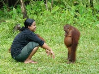 おばさんっぽく画像にコメントするトピ