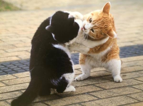 おばさんっぽく画像にコメントするトピ