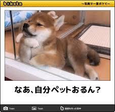 動物のboketeを貼るトピpart3