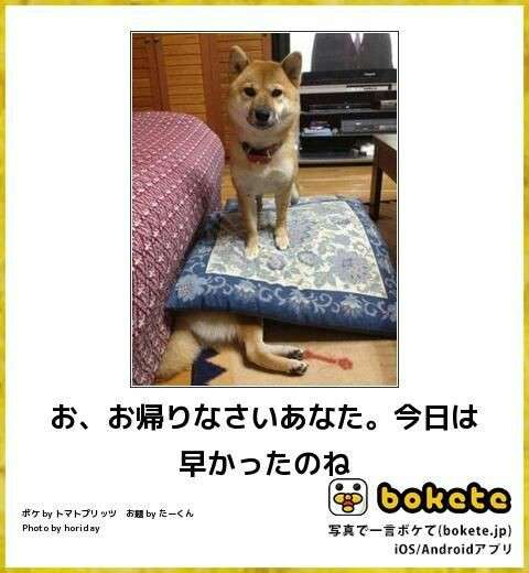 動物のboketeを貼るトピpart3