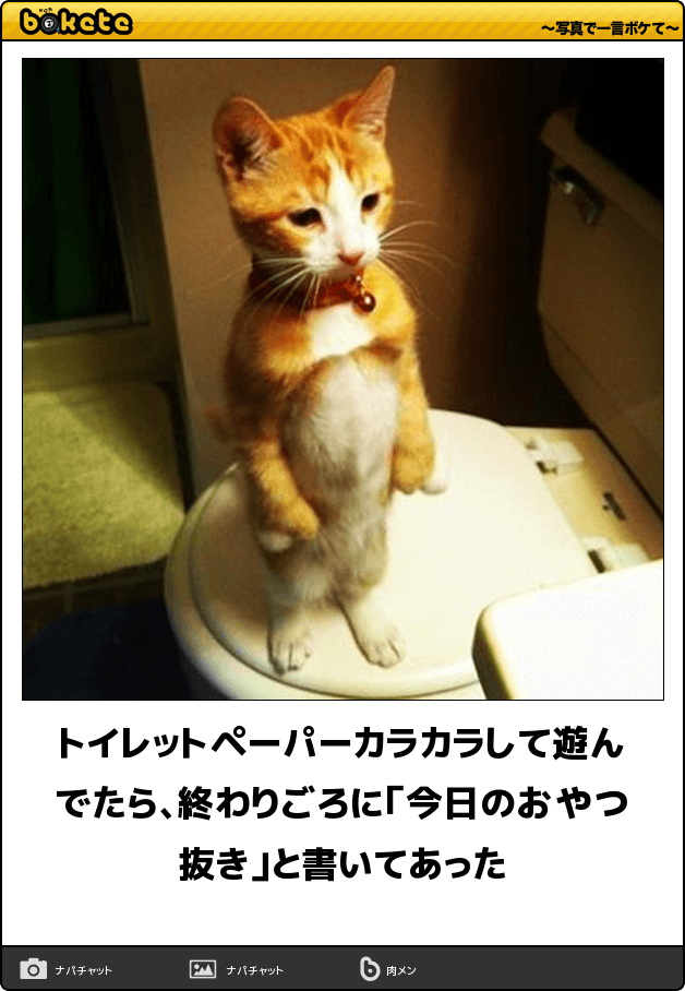 動物のboketeを貼るトピpart3