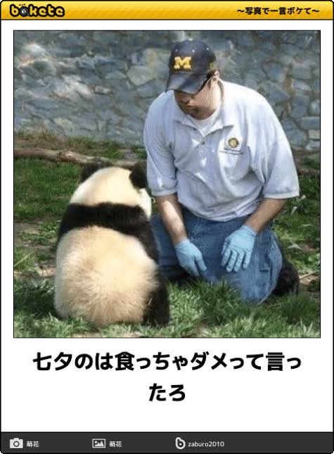 動物のboketeを貼るトピpart3