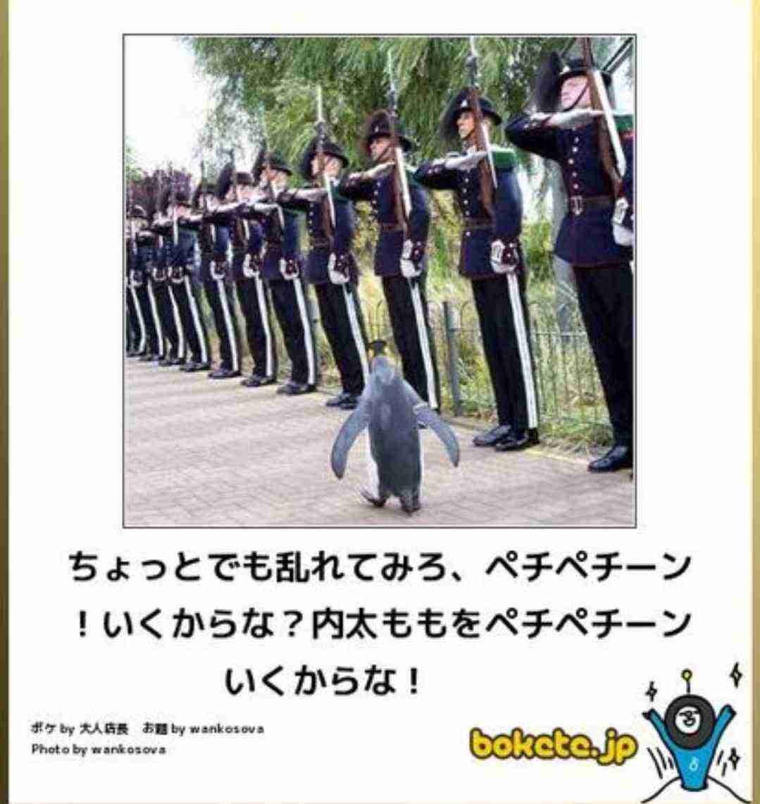 動物のboketeを貼るトピpart3
