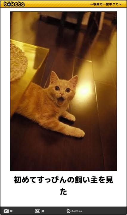 動物のboketeを貼るトピpart3