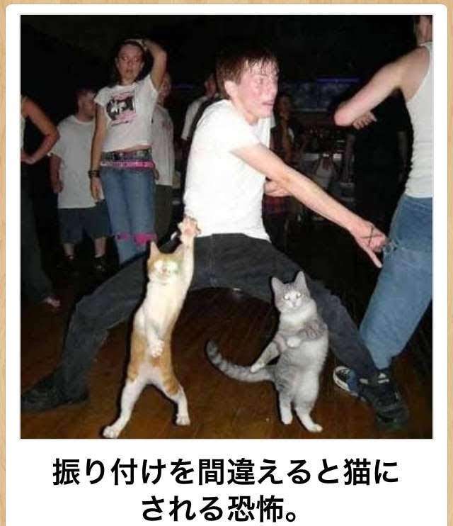 動物のboketeを貼るトピpart3