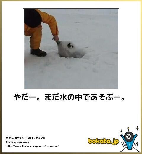 動物のboketeを貼るトピpart3