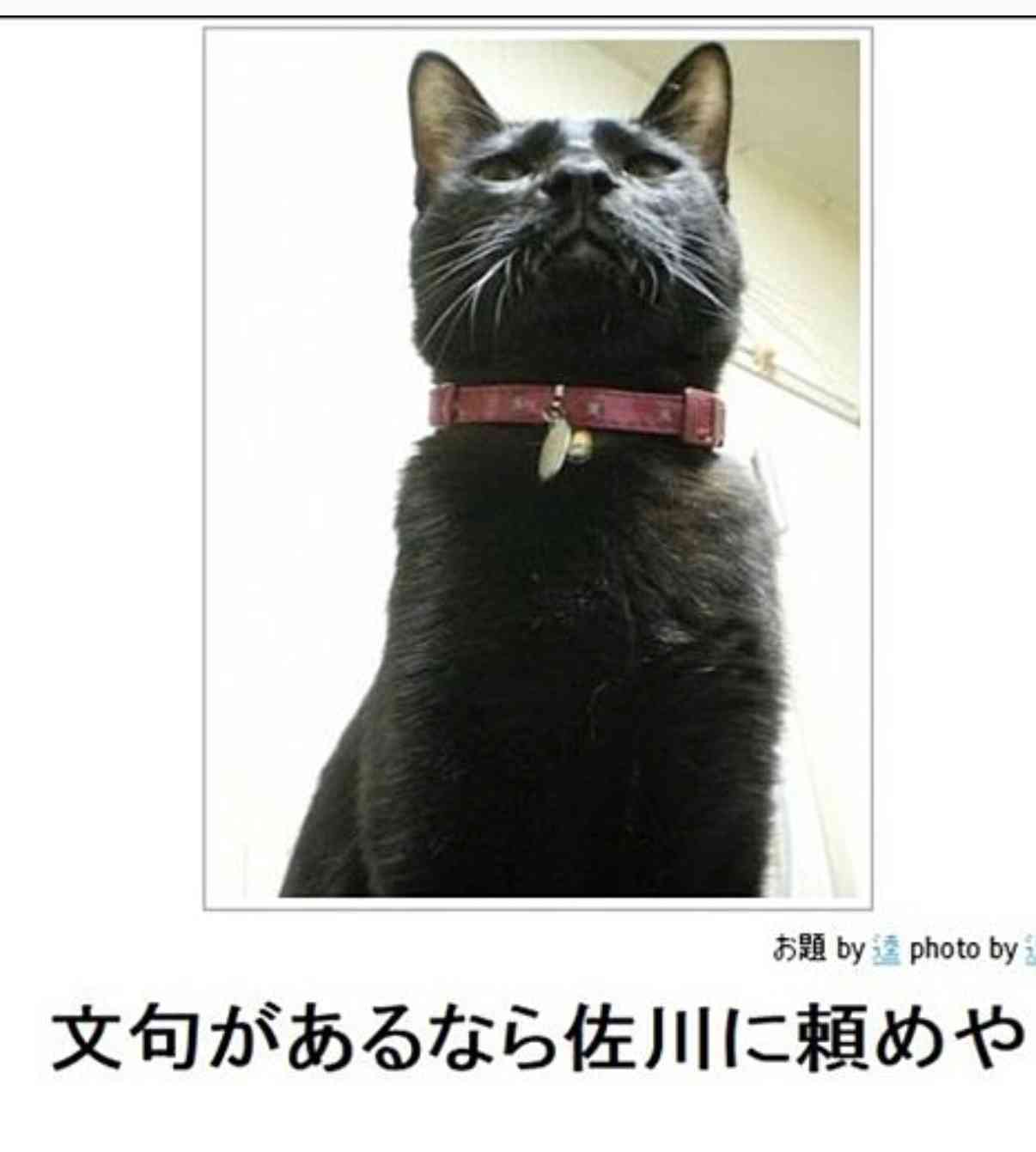 動物のboketeを貼るトピpart3