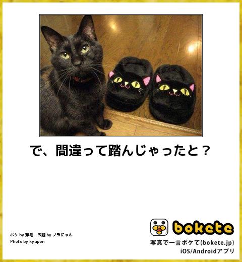 動物のboketeを貼るトピpart3