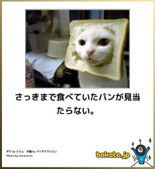 動物のboketeを貼るトピpart3