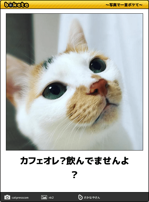 動物のboketeを貼るトピpart3