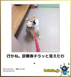 動物のboketeを貼るトピpart3
