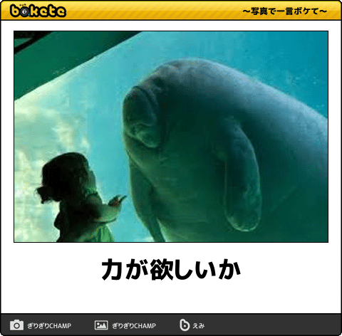 動物のboketeを貼るトピpart3