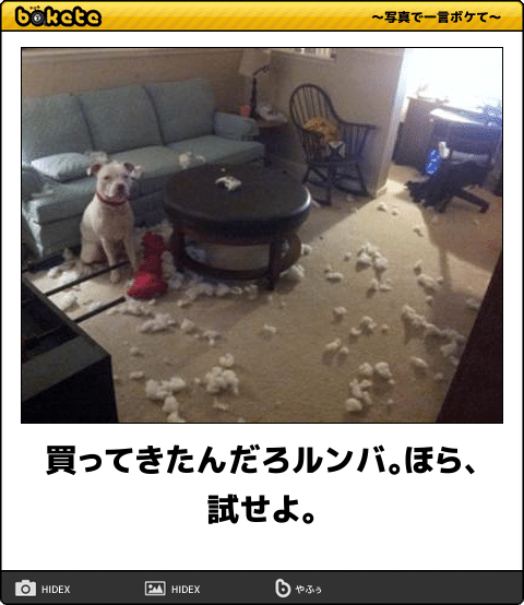 動物のboketeを貼るトピpart3