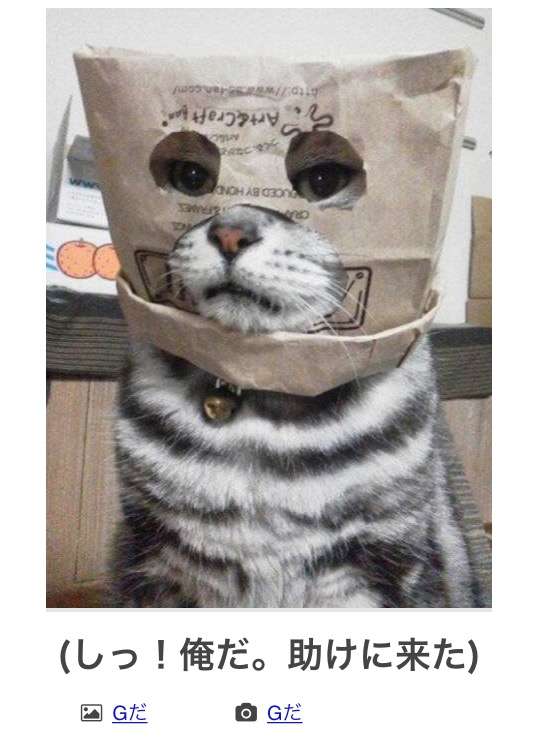動物のboketeを貼るトピpart3