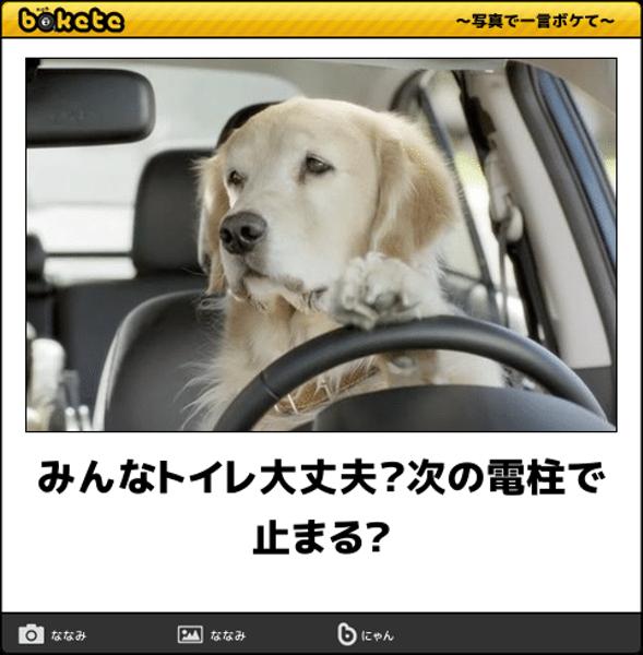 動物のboketeを貼るトピpart3