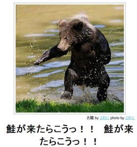 動物のboketeを貼るトピpart3
