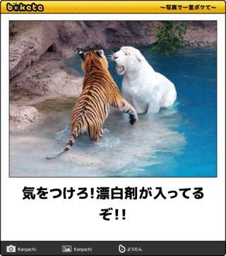 動物のboketeを貼るトピpart3
