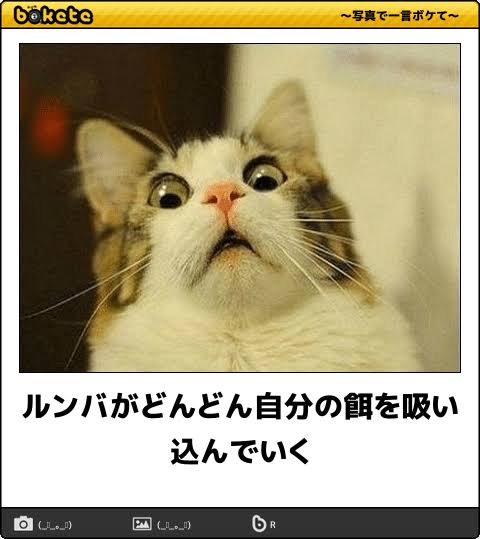 動物のboketeを貼るトピpart3