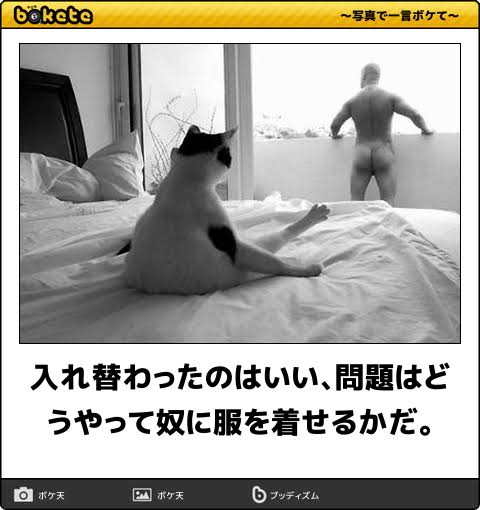 動物のboketeを貼るトピpart3