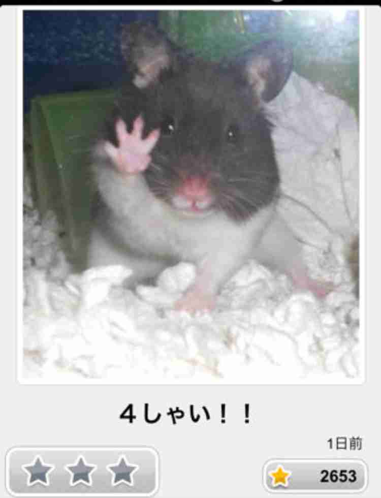 動物のboketeを貼るトピpart3