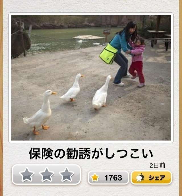 動物のboketeを貼るトピpart3