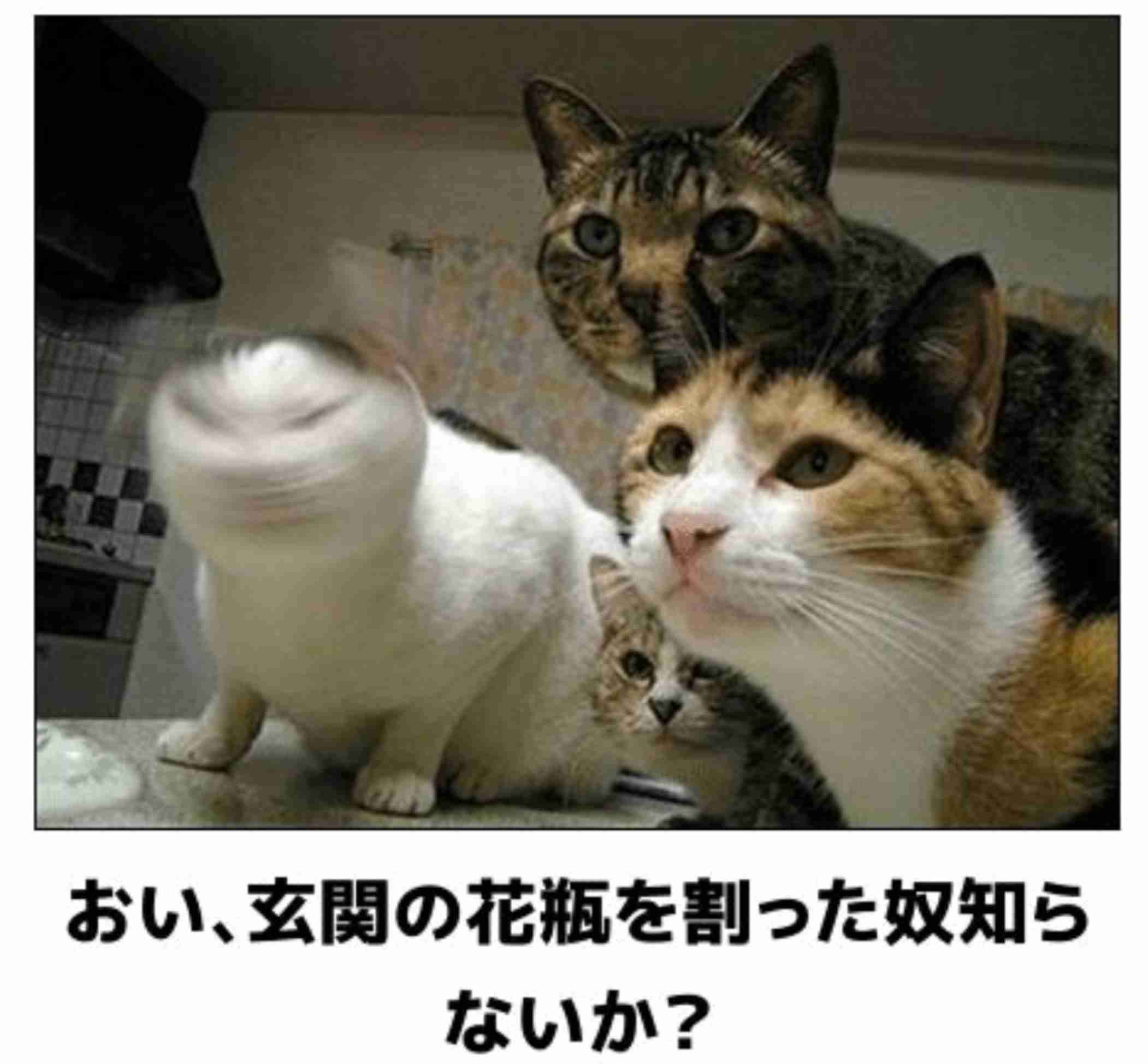 動物のboketeを貼るトピpart3