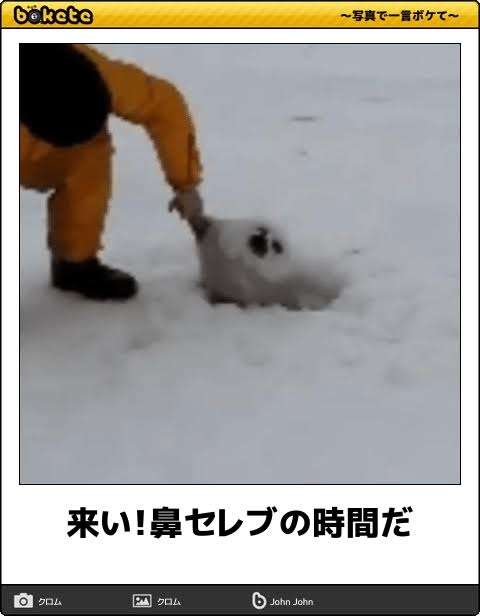 動物のboketeを貼るトピpart3