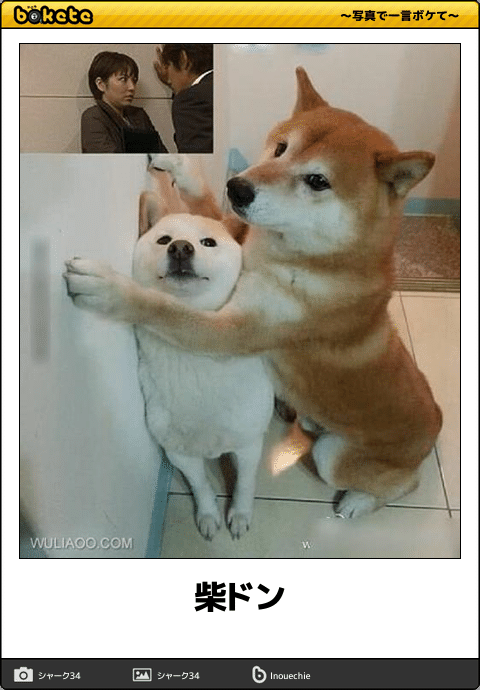 動物のboketeを貼るトピpart3