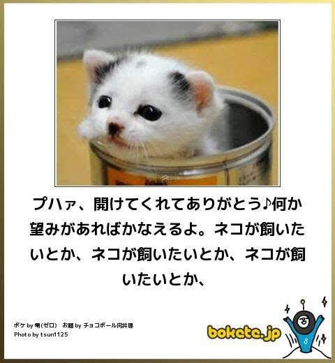 動物のboketeを貼るトピpart3