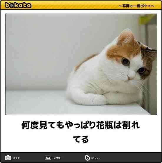 動物のboketeを貼るトピpart3