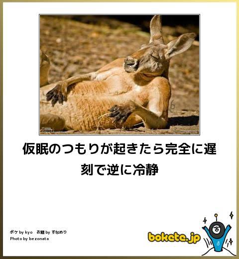 動物のboketeを貼るトピpart3