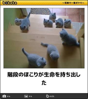 動物のboketeを貼るトピpart3