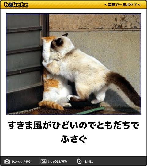 動物のboketeを貼るトピpart3