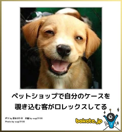動物のboketeを貼るトピpart3
