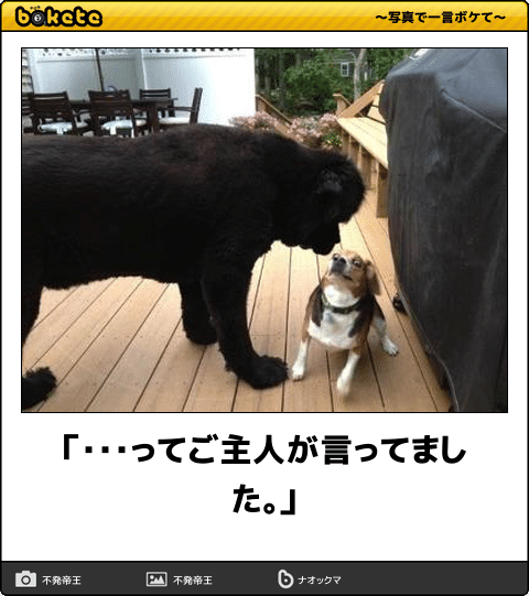 動物のboketeを貼るトピpart3