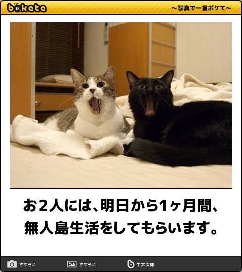 動物のboketeを貼るトピpart3