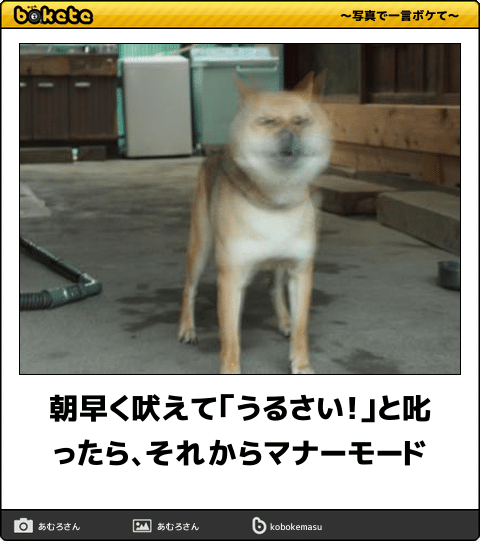 動物のboketeを貼るトピpart3