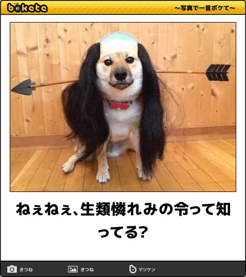 動物のboketeを貼るトピpart3